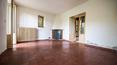 Toscana Immobiliare - Tuscan country house, Villa with land for sale in Tuscany in Arezzo