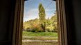 Toscana Immobiliare - Tuscan country house, Villa with land for sale in Tuscany in Arezzo