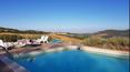 Toscana Immobiliare - Farm with farmhouse for sale in Tuscany