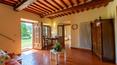 Toscana Immobiliare - Ferme avec piscine à vendre à Sarteano Sienne Toscane