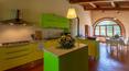 Toscana Immobiliare - Bauernhaus mit Pool zu verkaufen in Sarteano Siena Toskana