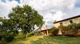 Toscana Immobiliare - Farmhouse with swimming pool for sale in Sarteano Siena Tuscany