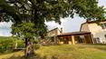 Toscana Immobiliare - Farmhouse with swimming pool for sale in Sarteano Siena Tuscany