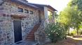 Toscana Immobiliare - Immobili di pregio in vendita, Siena, Toscana, Radicofani
