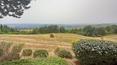 Toscana Immobiliare - Casale in vendita in Val d’Orcia, Radicofani, Toscana