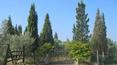Toscana Immobiliare - The farmhouse for sale enjoys a wonderful panorama