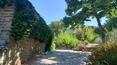 Toscana Immobiliare - in vendita a Cortona in toscana Casolare antico mulino con oliveto