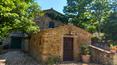 Toscana Immobiliare - in vendita a Cortona in toscana Casolare antico mulino con oliveto
