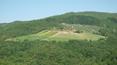 Toscana Immobiliare - Ancient restored 19th century estate with approximately 116 hectares of land for sale in Rufina, Tuscany