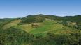 Toscana Immobiliare - Ancient estate with approximately 116 hectares of land near Florence