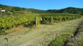 Toscana Immobiliare - The accommodation facilities are distributed in two small hamlets