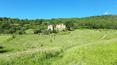 Toscana Immobiliare - 