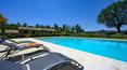 Toscana Immobiliare - Una magnifica piscina a sfioro si sviluppa nel punto più panoramico, ad assicurare uno splendido affaccio su Montepulciano.