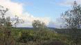 Toscana Immobiliare - Estate in Tuscany  with 70 hectares of land for sale Lucignano, Arezzo