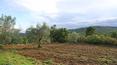 Toscana Immobiliare - Podere tipico toscano con casale da ristrutturare e 70 ettari di terreno in vendita Lucignano, Arezzo.