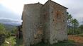 Toscana Immobiliare - Estate in Tuscany  with 70 hectares of land for sale Lucignano, Arezzo