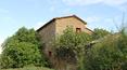 Toscana Immobiliare - Podere tipico toscano con casale da ristrutturare e 70 ettari di terreno in vendita Lucignano, Arezzo. 