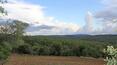 Toscana Immobiliare - Estate in Tuscany  with 70 hectares of land for sale Lucignano, Arezzo