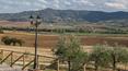 Toscana Immobiliare - Villa with pool and garden for sale, Castiglione del Lago, Umbria