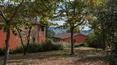 Toscana Immobiliare - Accommodation business for sale Castiglione del Lago, Umbria, Perugia
