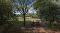 Toscana Immobiliare - Accommodation business for sale Castiglione del Lago, Umbria, Perugia
