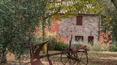Toscana Immobiliare - Accommodation business for sale Castiglione del Lago, Umbria, Perugia