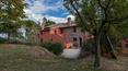 Toscana Immobiliare - Accommodation business for sale Castiglione del Lago, Umbria, Perugia