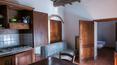 Toscana Immobiliare - Ferme, logement à vendre Castiglione del Lago, Ombrie