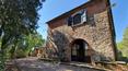 Toscana Immobiliare - Ancient restored farmhouse with outbuilding, swimming pool and land