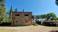 Toscana Immobiliare - For sale in Lucignano, in Tuscany, farmhouse with land and swimming pool