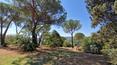 Toscana Immobiliare - For sale in Lucignano, in Tuscany, farmhouse with land and swimming pool