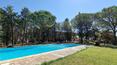 Toscana Immobiliare - Vendesi a Lucignano, in Toscana , casale  con terreno e piscina