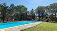Toscana Immobiliare - Vendesi a Lucignano, in Toscana , casale  con terreno e piscina