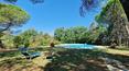 Toscana Immobiliare - Se vende casa de campo restaurada en Lucignano, con terreno