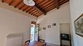 Toscana Immobiliare - Toscana. vente ferme rénovée avec terrain et piscine