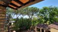 Toscana Immobiliare - For sale in Lucignano, in Tuscany, farmhouse with land and swimming pool