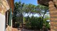 Toscana Immobiliare - Se vende casa de campo restaurada en Lucignano, con terreno