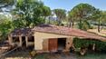 Toscana Immobiliare - For sale in Lucignano, in Tuscany, farmhouse with land and swimming pool