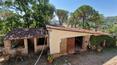 Toscana Immobiliare - Vendesi a Lucignano, in Toscana , casale  con terreno e piscina