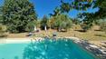 Toscana Immobiliare - Farm in Tuscany with agritourism and vineyard for sale in Siena