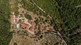 Toscana Immobiliare - Ancient village with winery for sale in Tuscany, Arezzo. luxury real estate properties in Italy with villa villa, church, 130 ha of land, houses