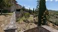 Toscana Immobiliare - Tenuta con antico borgo e vigneti in vendita in Toscana, arezzo