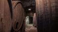 Toscana Immobiliare - Estate with ancient village and vineyards for sale in Tuscany, arezzo