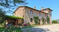Toscana Immobiliare - Chianti farm for sale with Chianti wine production