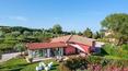 Toscana Immobiliare - Property immersed in nature