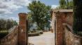 Toscana Immobiliare - Property with 80 hectares of land