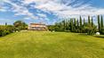Toscana Immobiliare - Property in Tuscany with a beautiful view