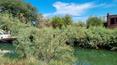 Toscana Immobiliare - Isola con canale privato in vendita nella laguna di Venezia