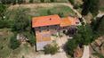 Toscana Immobiliare - Propriedad en venta en Toscana