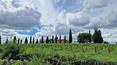 Toscana Immobiliare - Farm estate for sale in Siena Trequanda Tuscany